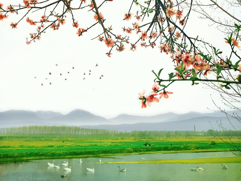죺ķ