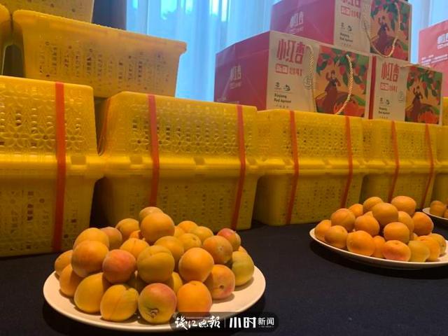 “同心共富‘杏’好有你”，第二届阿拉尔小红杏来台州公益活动启幕