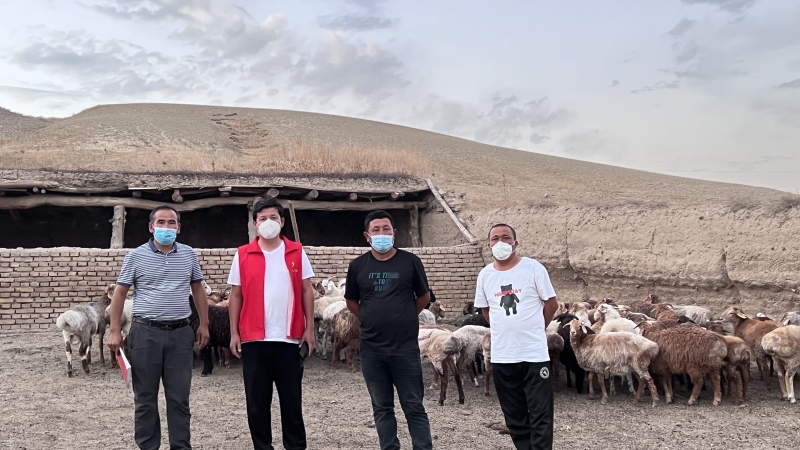 伊宁县阿乌利亚乡牧民捐赠“爱心羊羔”助力疫情防控