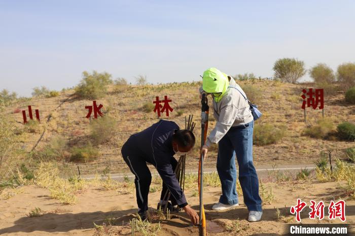 6年种树2亿棵 6.5亿网民助内蒙古沙海“披绿添金”