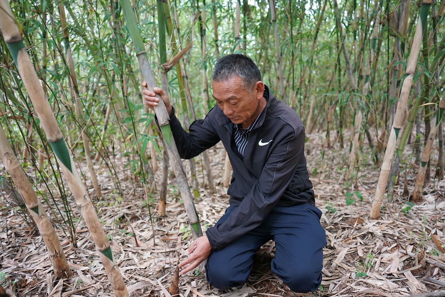 产业造血激活乡村振兴新动能