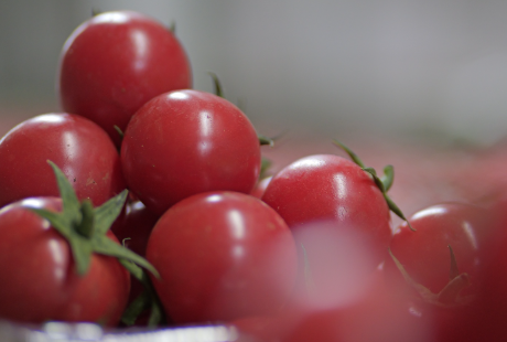 资金活水金钥匙打开乡村振兴致富门