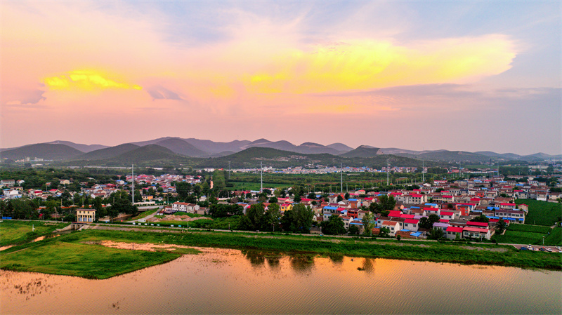 ����ҵָ��Ա���ǻ桱�����»���