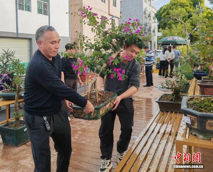 �㶫�к��´壺�辰��ҵ�����������