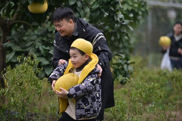 �����ִ���ս��������԰��Ȥ����������