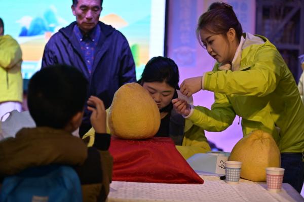 ����������ѡ����������