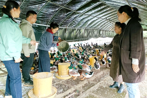 ����������ɫ���������������ҵ��ҵ����