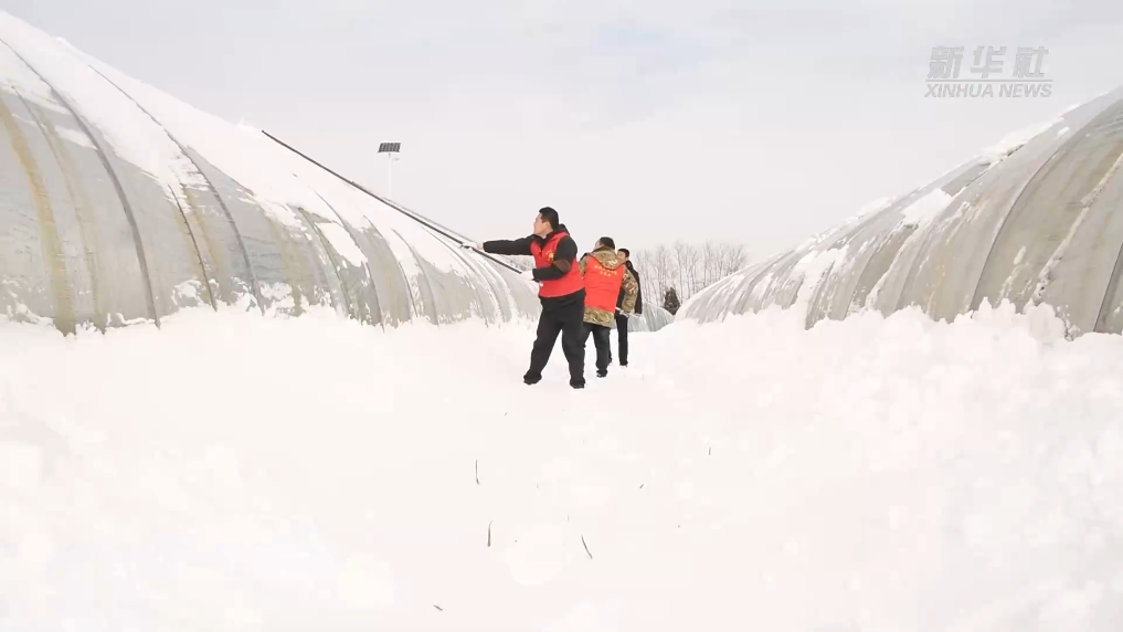 ������ѩս�ӡ�Ϊ�������ݻ���