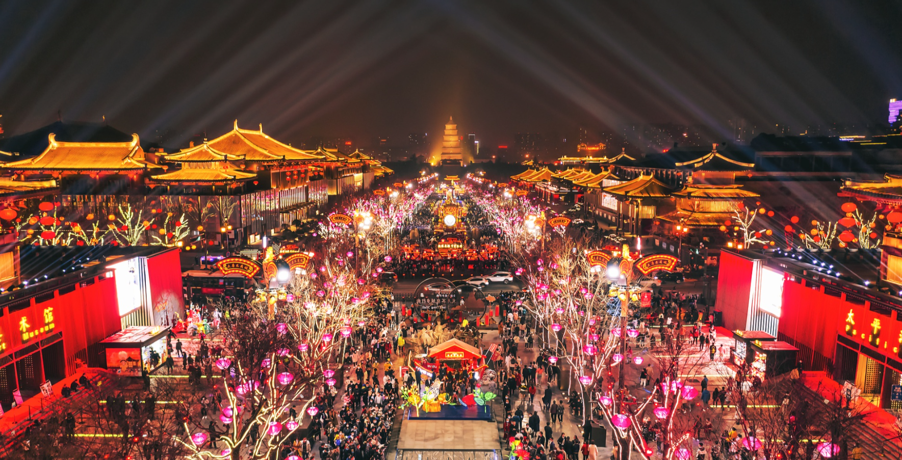 ������+��ҵ�������������չ�¶���