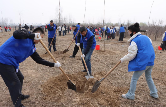 �й�̫������ɽ���ֹ�˾�ɹ��ٰ�2026��ֲ�����ж�