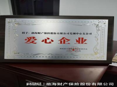 芜湖中支公益帮扶获授“爱心企业”称号