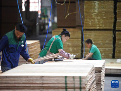 �����ڰ�������ɫ���桱�����������