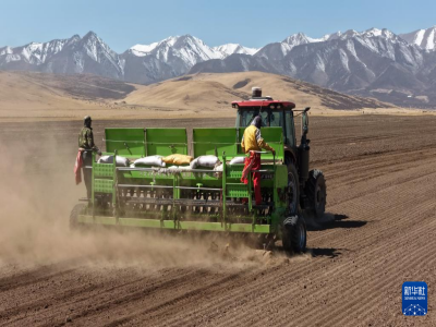 ����ɽ�´���æ