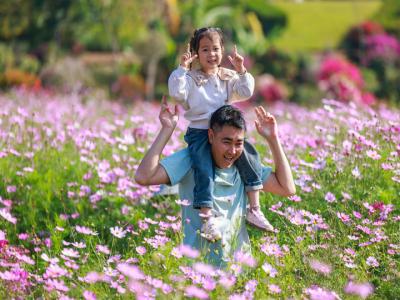 不只远观,多地推春日“玩花”文旅项目